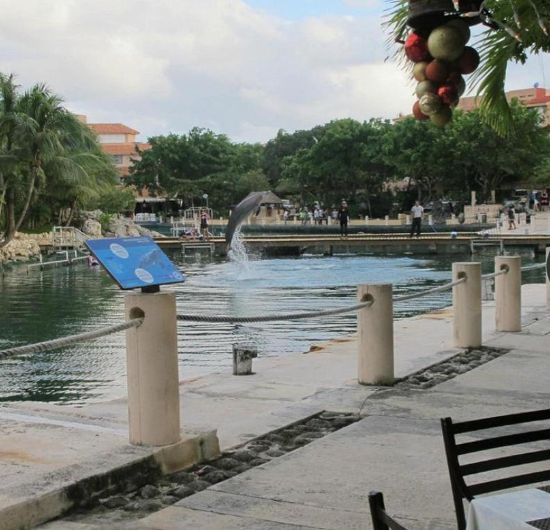 شقة Puerto Aventuras, Departamento A Unos Pasos De La Playa المظهر الخارجي الصورة